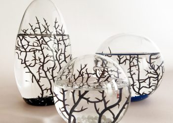 NASA Ecosphere