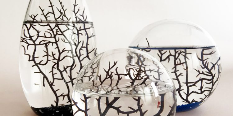 NASA Ecosphere