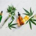 The best CBD products
