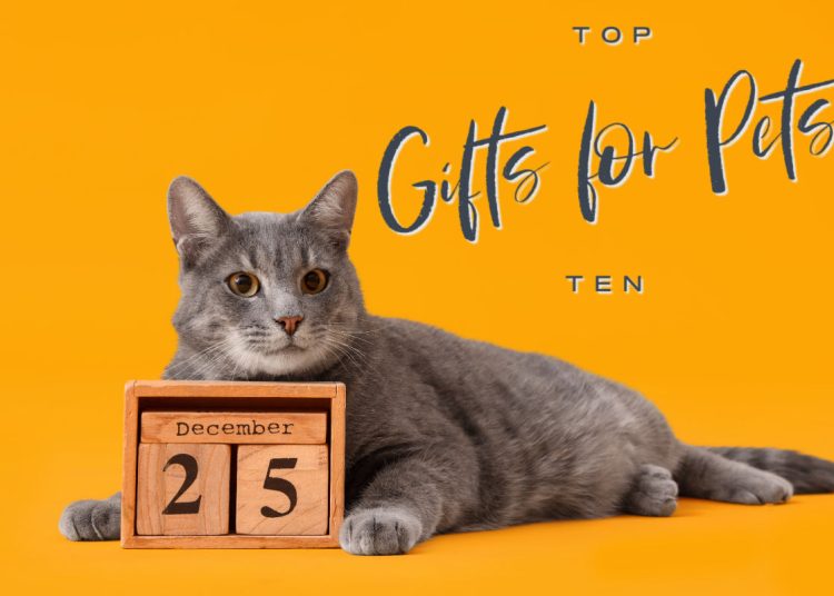 Gifts for pets